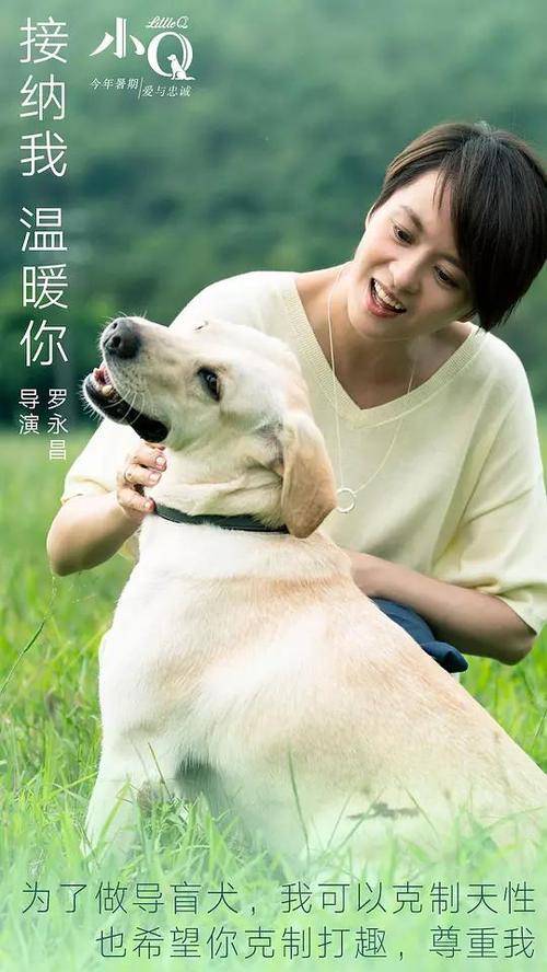 霍恩海姆大学Diploma in Economics